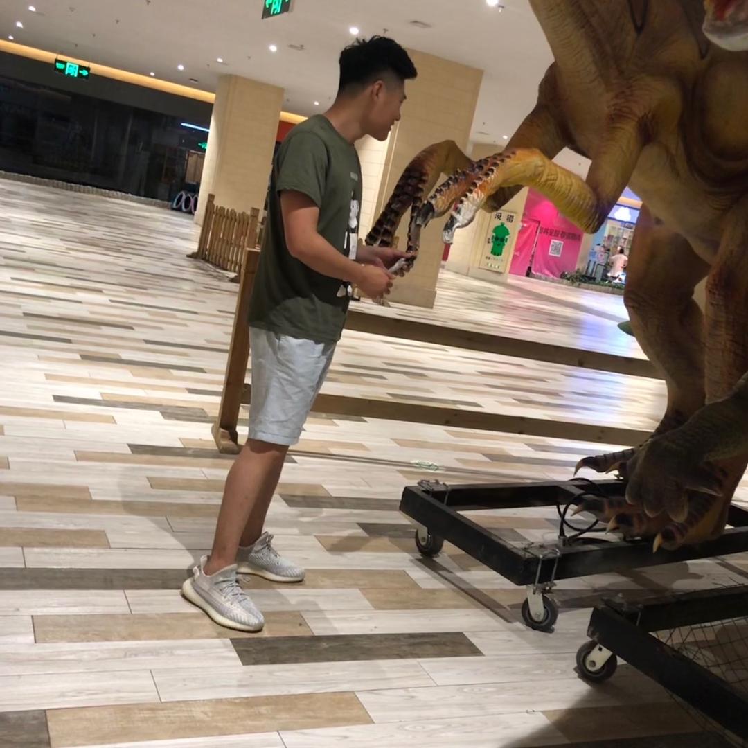 正经姑爷