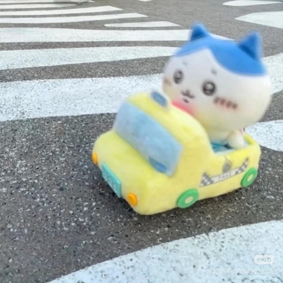 只鱼