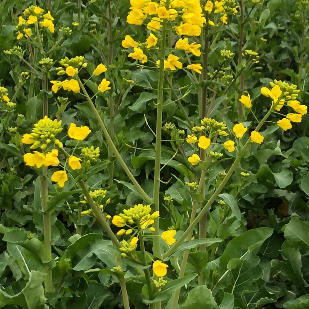 成都蓉城雨巷旧书坊