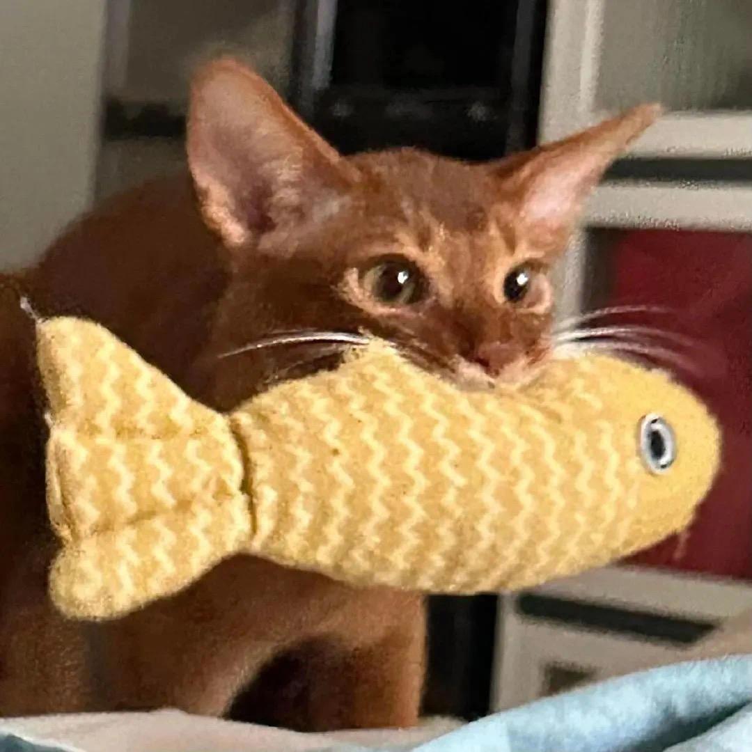 77