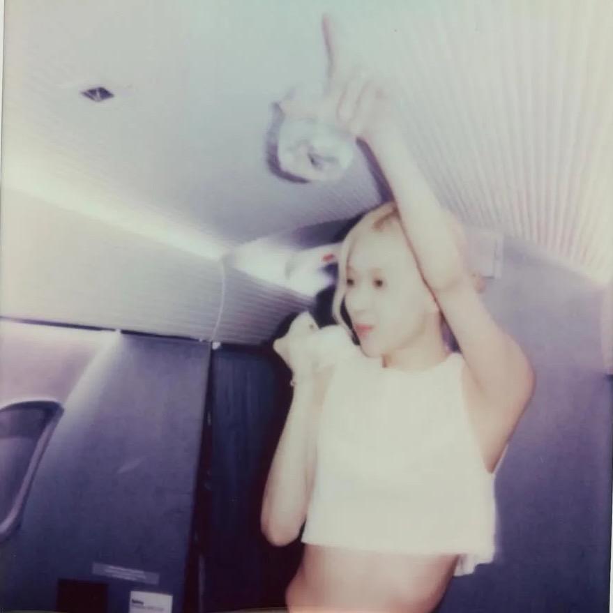 姐树（世一🌲）