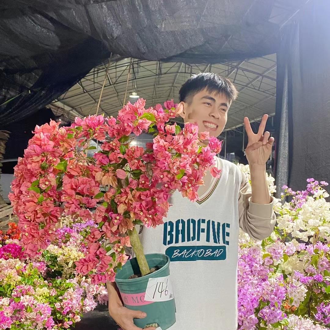 蛋仔花卉（精选花植）