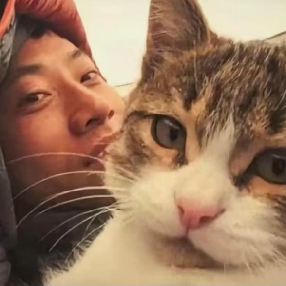 小木也🐱