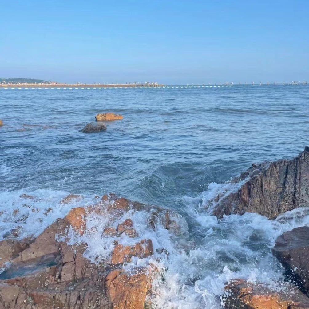 智博专升本张老师（报名咨询）