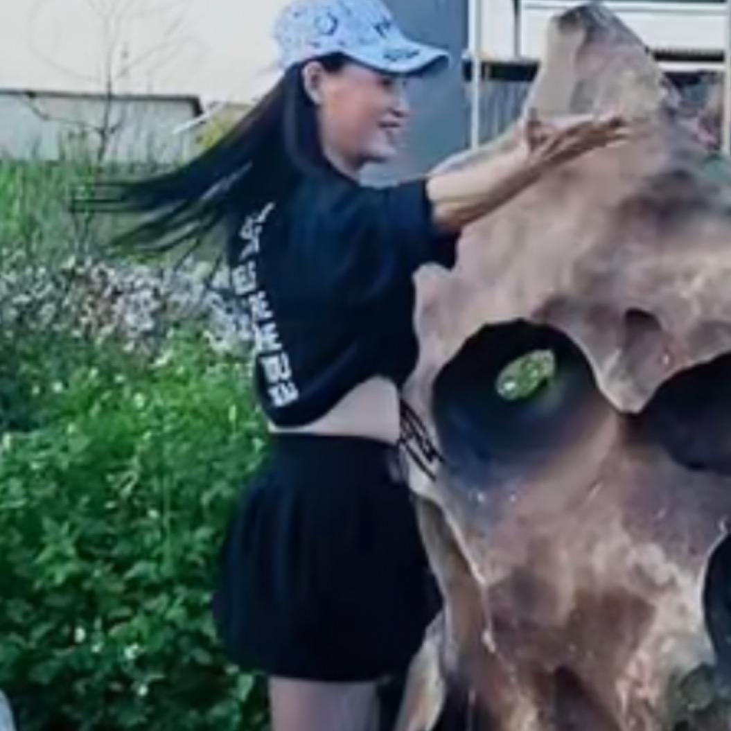 漳州广场舞       林文妤