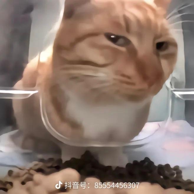 🌈别来烦我😤🌈