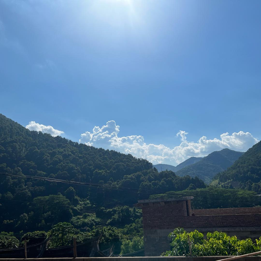 晋江森林世家童鞋