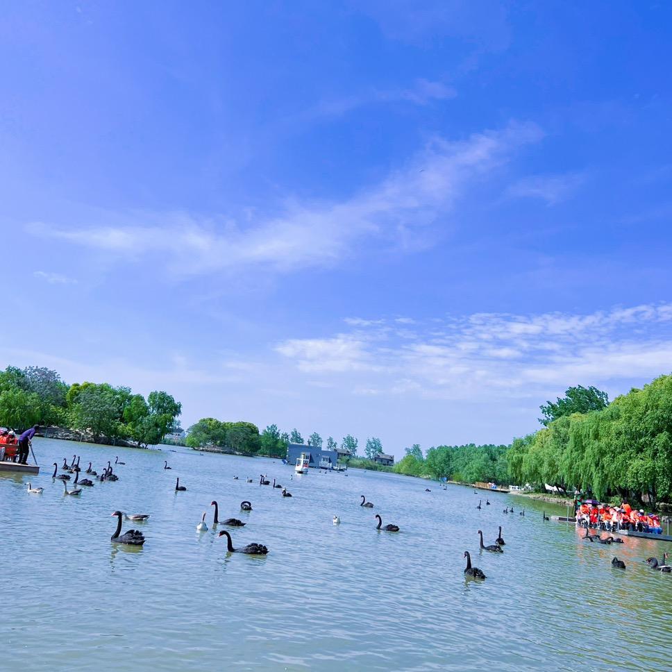 人间微光也要闪闪发亮