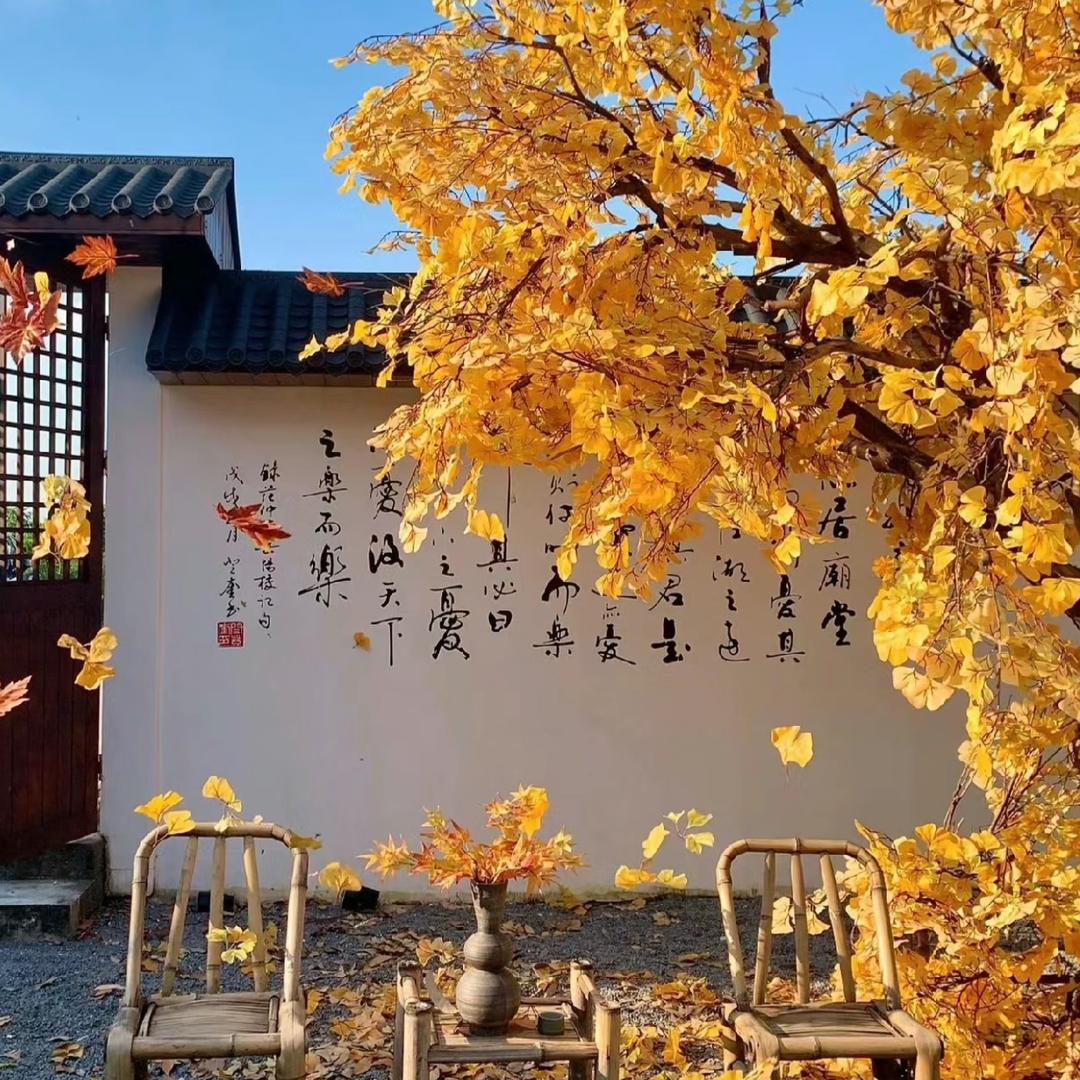 泽逸教育
