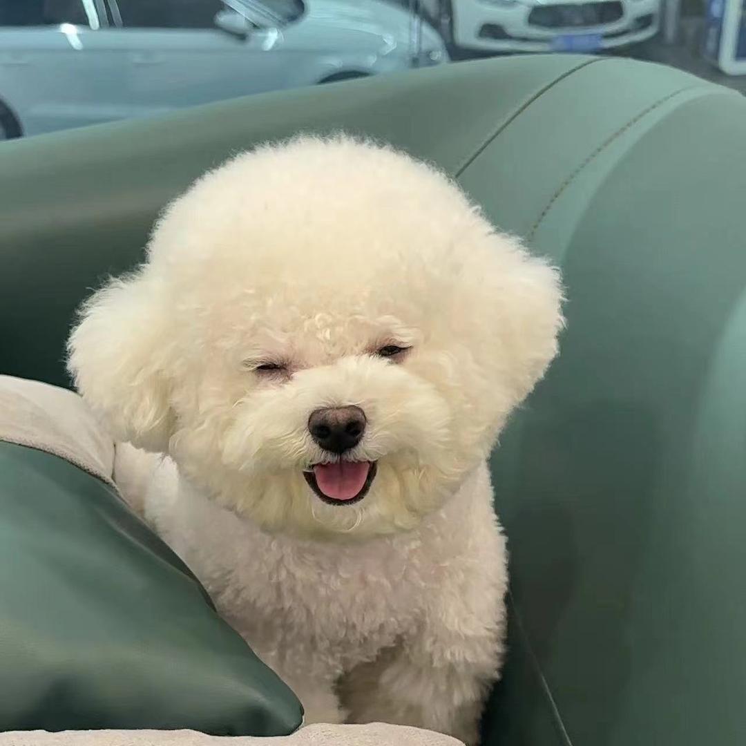 贤贤