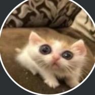 O泡****o泡（上学版）