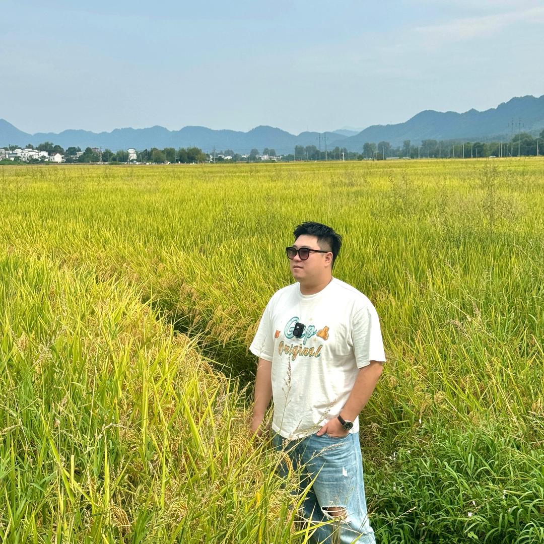 溜达羊🐏