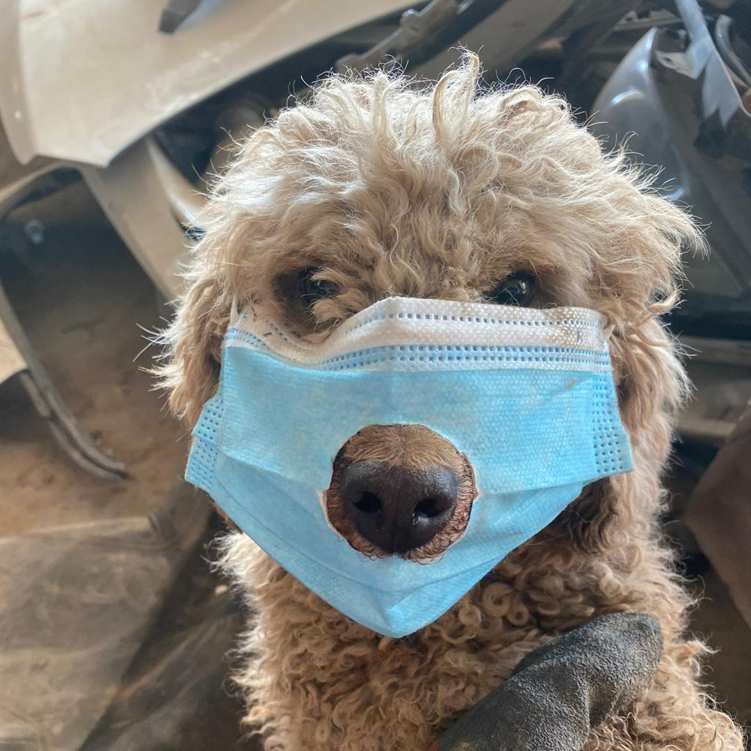 蒙姑庄稼汉  ‼️