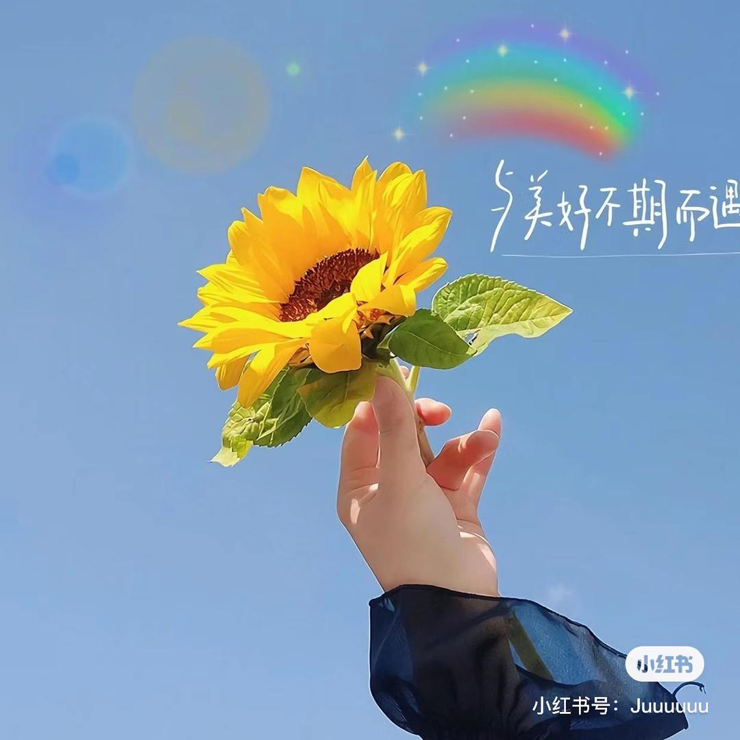@沁芷