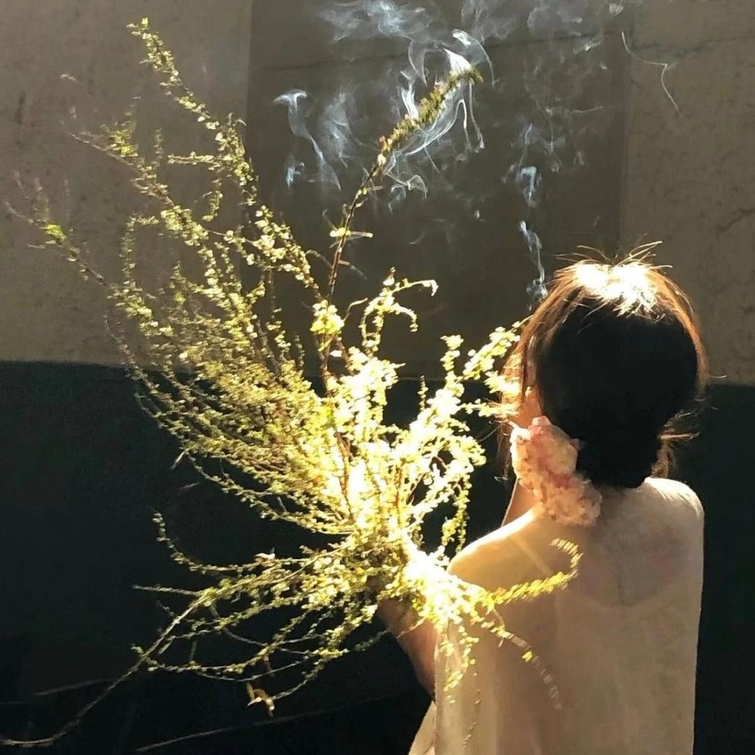 丹丹呀