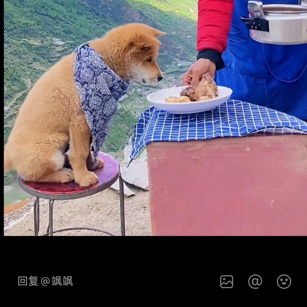 海棠依旧BGM