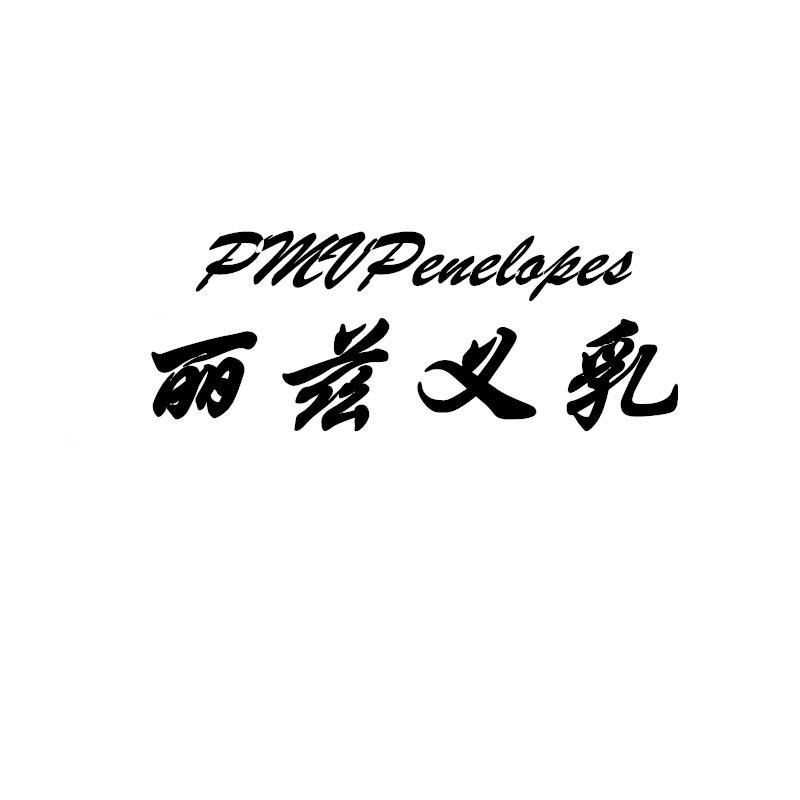 丽兹之影内衣旗舰店