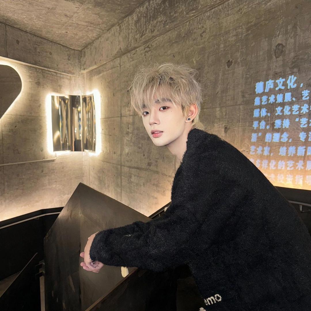 乔木专注女士发型设计