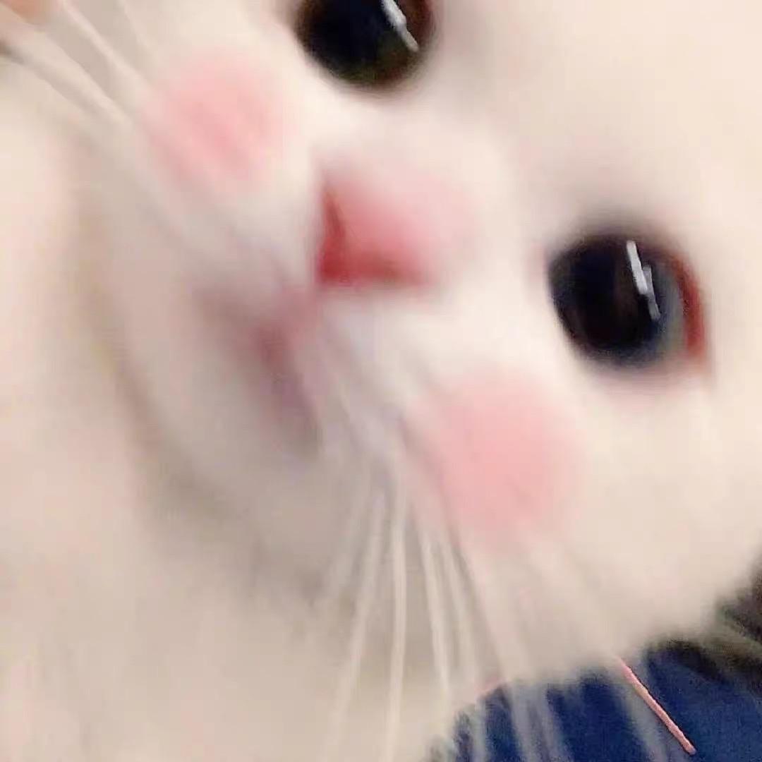 白开水。