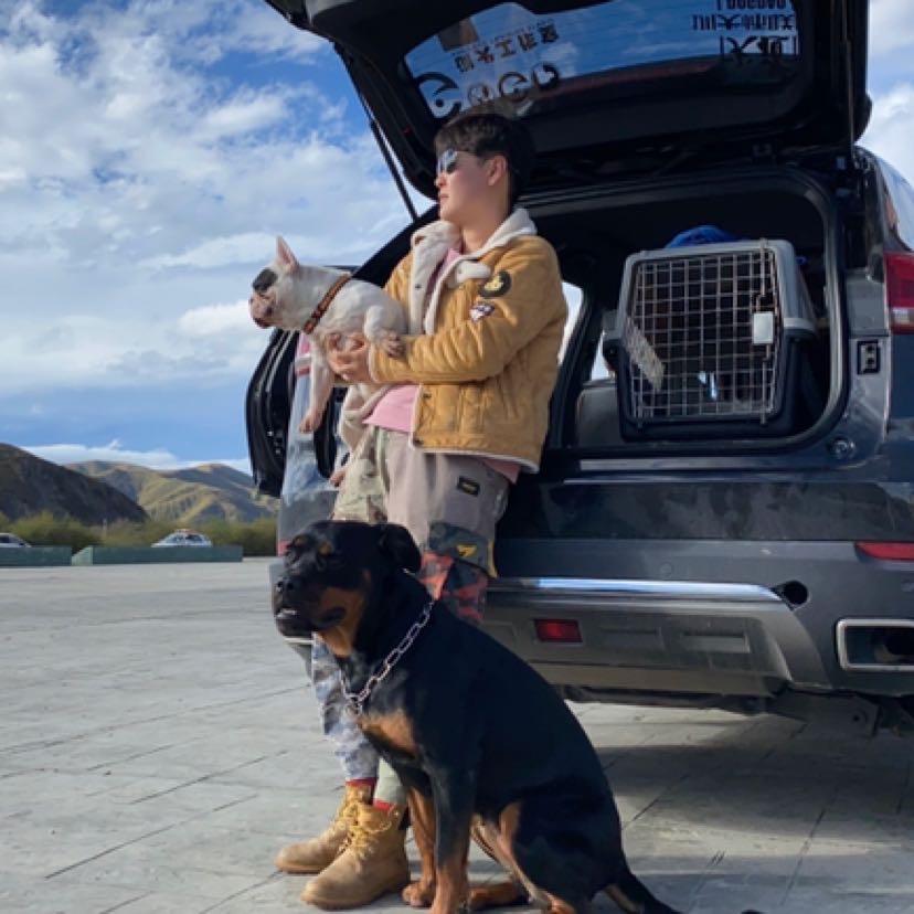 重庆训犬师熙熙