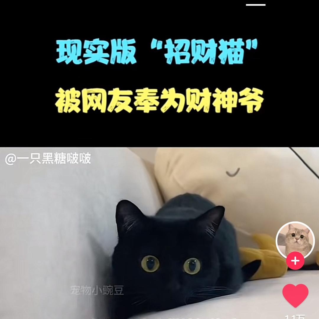 @心之所向