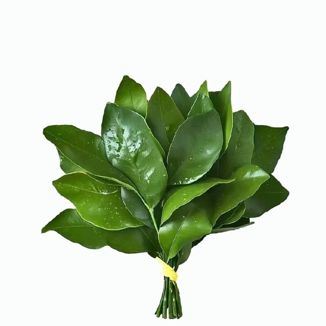吖  头《玖月》