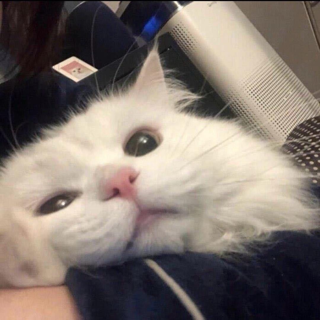🍒M