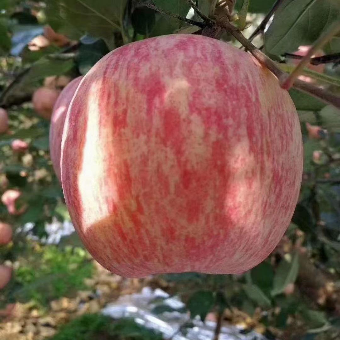 张三李4️⃣