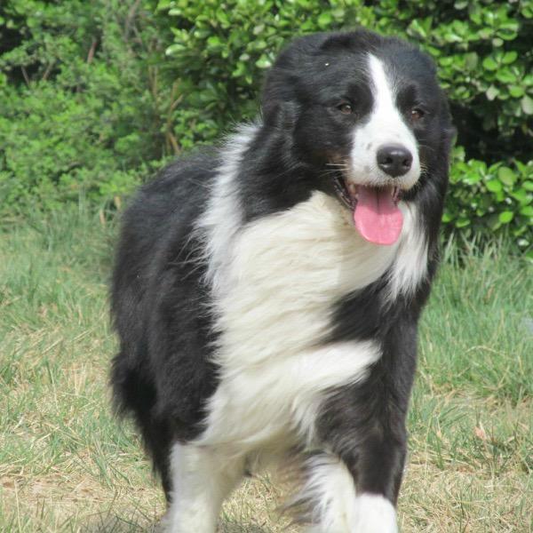 别再熬夜喝酒了。