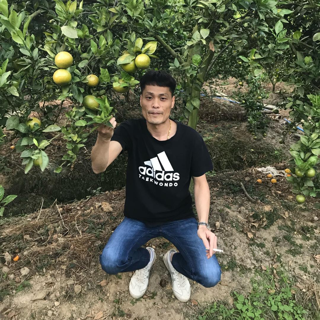 @八一