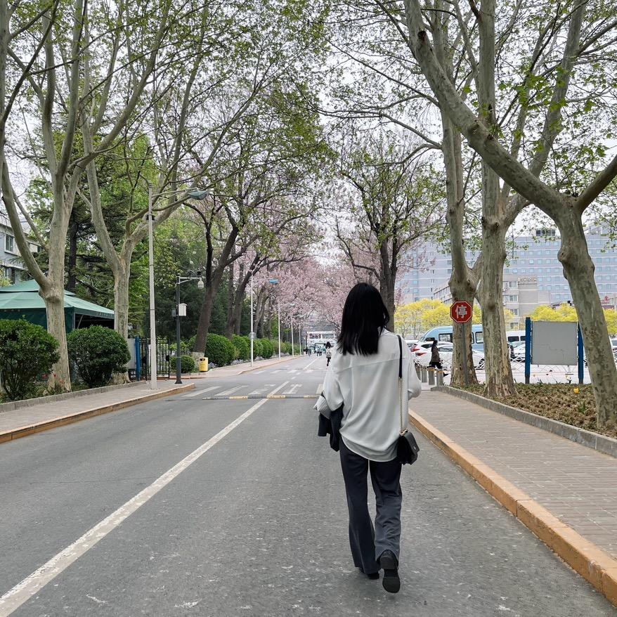 不是很甜的Sugar