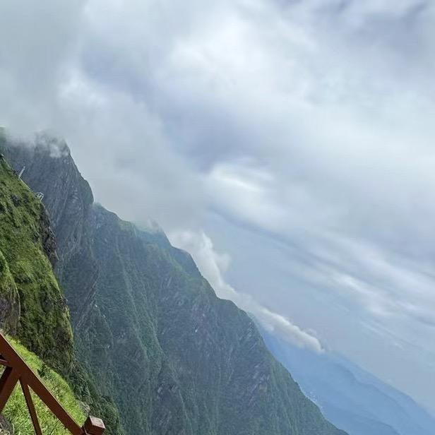 没头没脑猪头三🍉