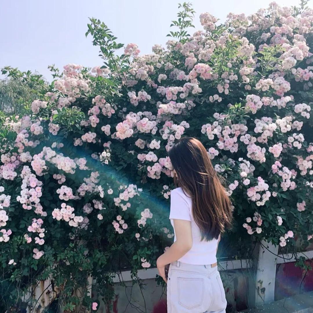 情绪化小孩 🍃