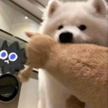 粥粥 _