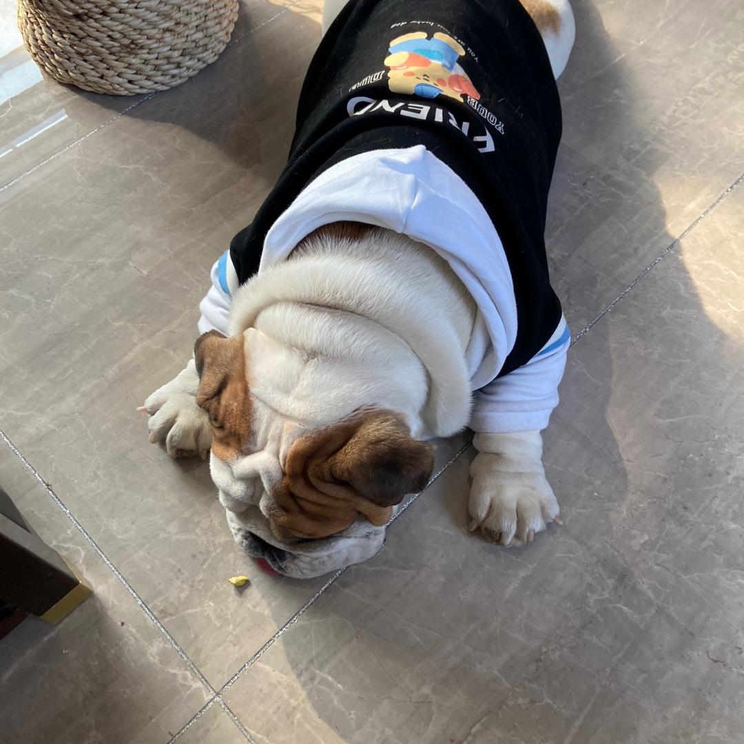 天涯海角，一生相伴