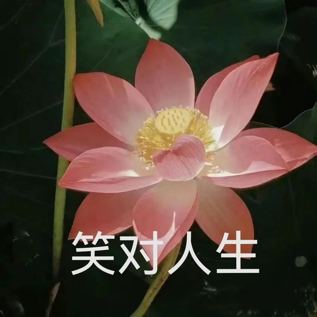 木鱼.