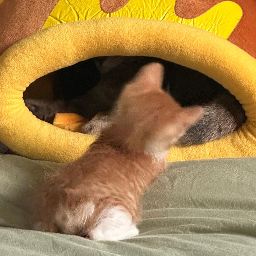 2025对我好点吧球球了