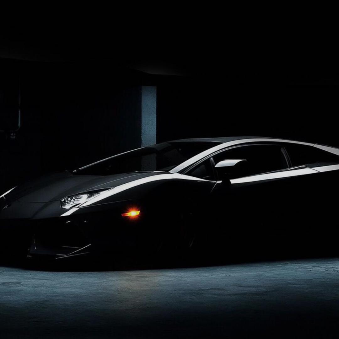 一年四季去钓鱼