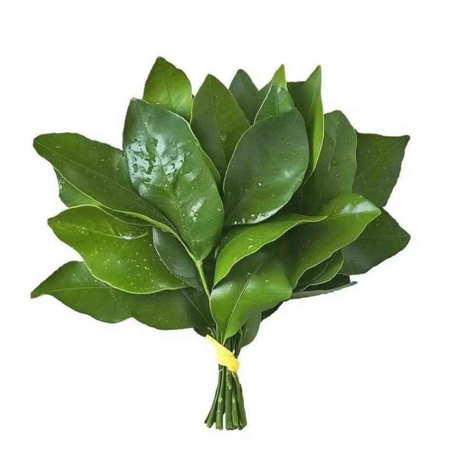 温柔可爱