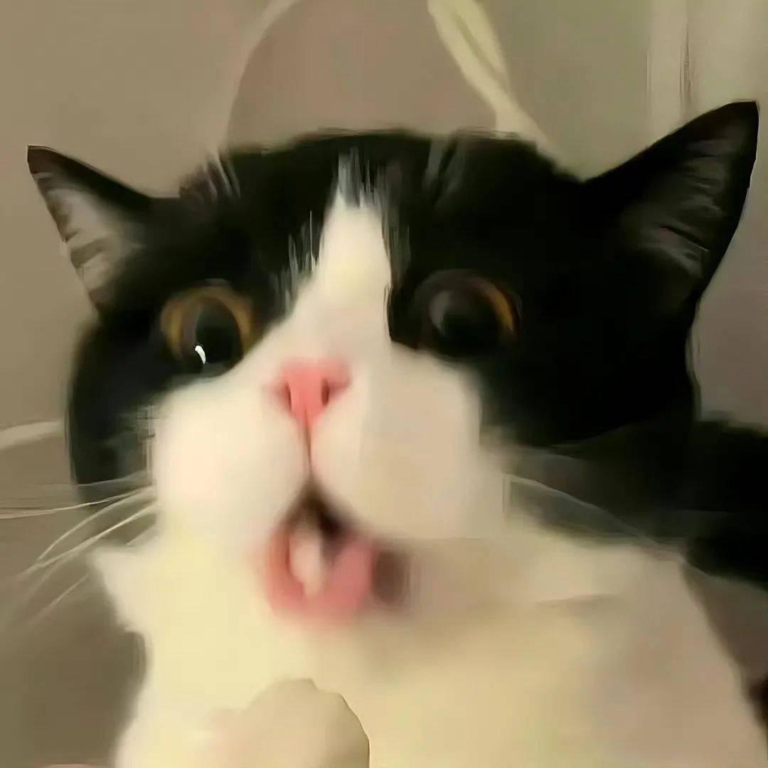 芸香穿搭工作室