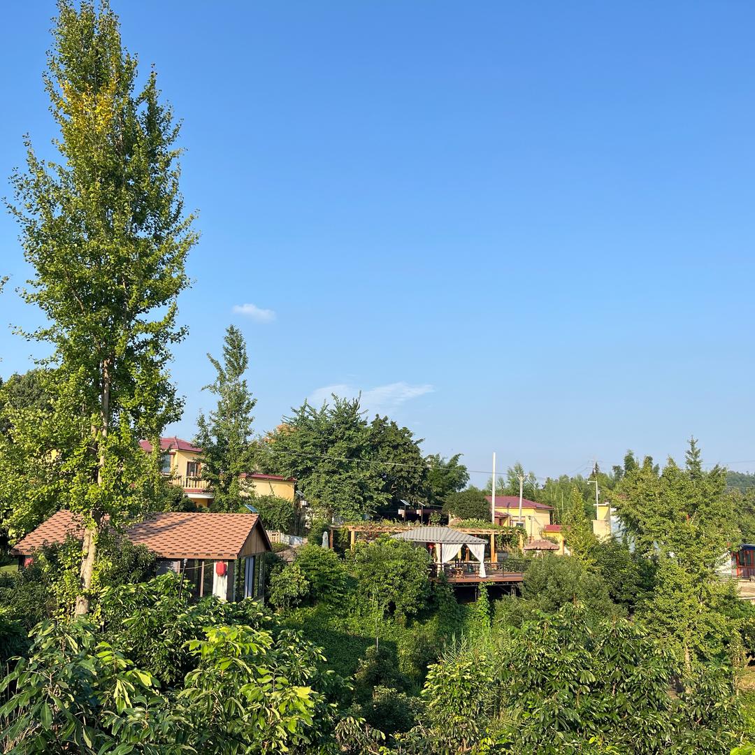小龙爱荔农庄
