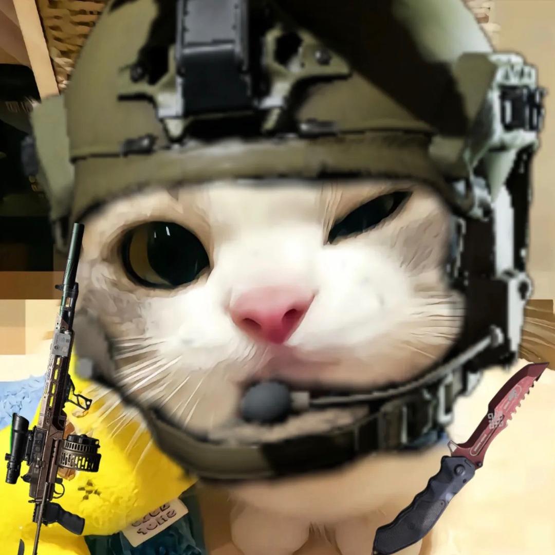 从不上早八
