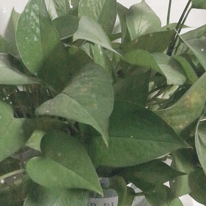 活动现场小助理小吴💕
