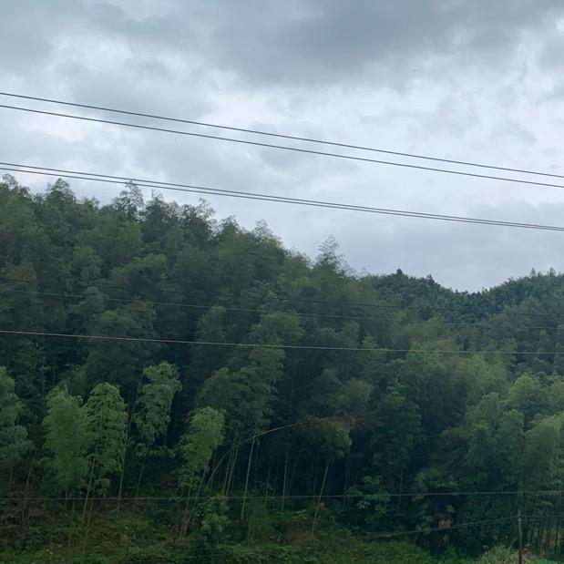 纾欢