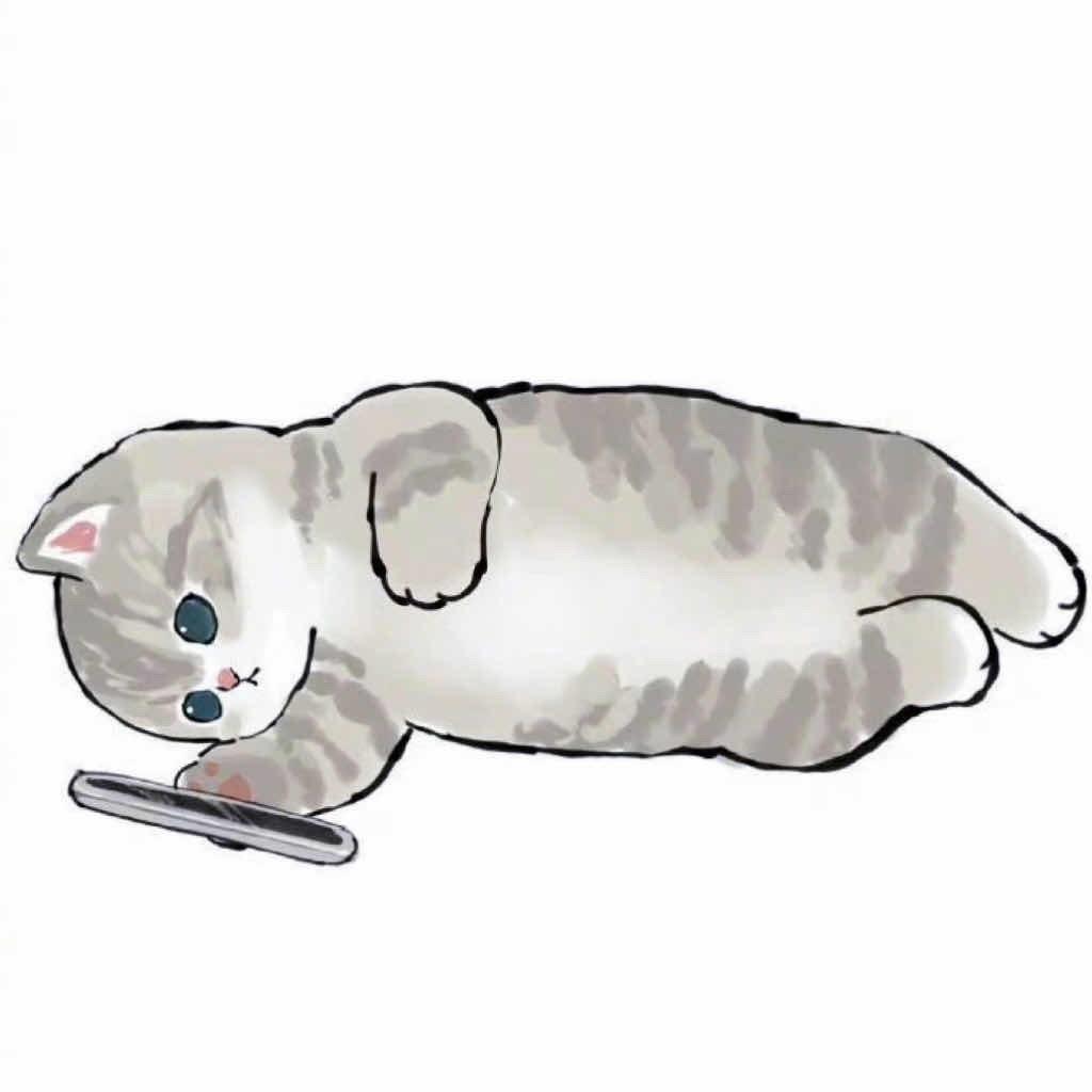 滚滚爱睡觉💤