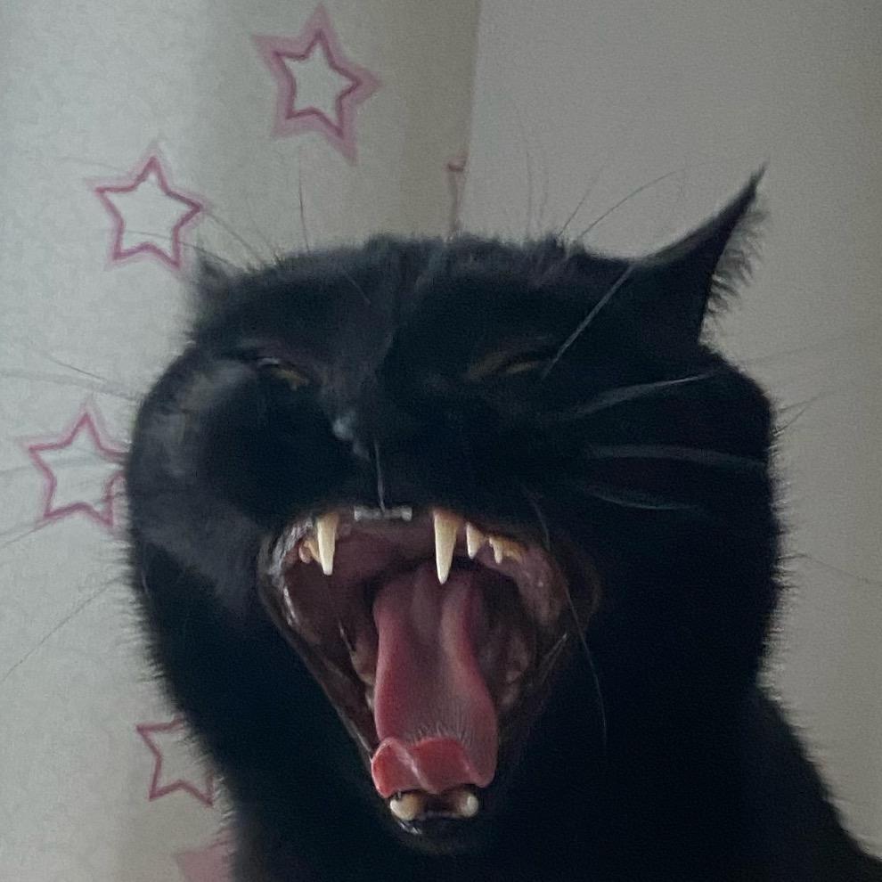 全黑菱斑响尾蛇