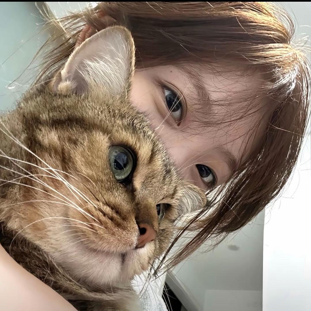 Kitty！