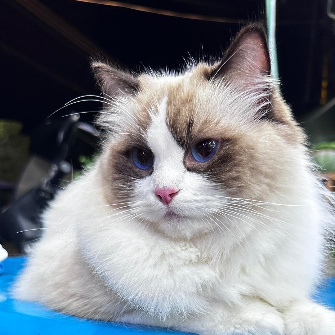 郑百亿.