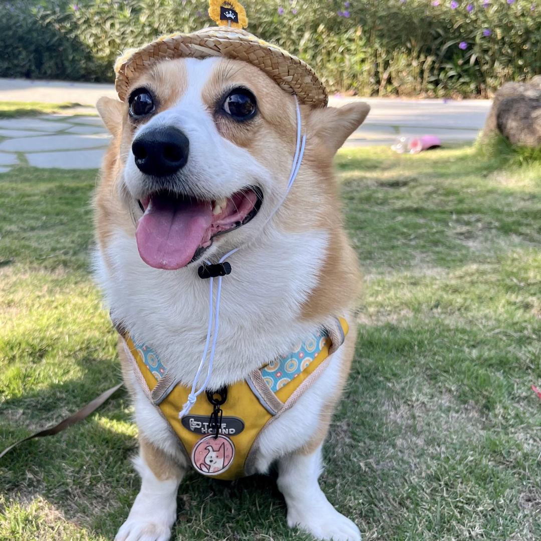 崽崽zz