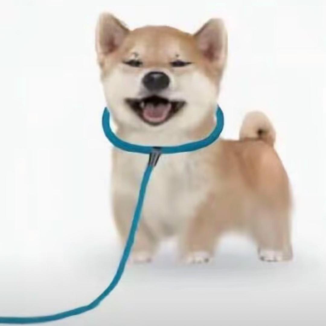 文了了